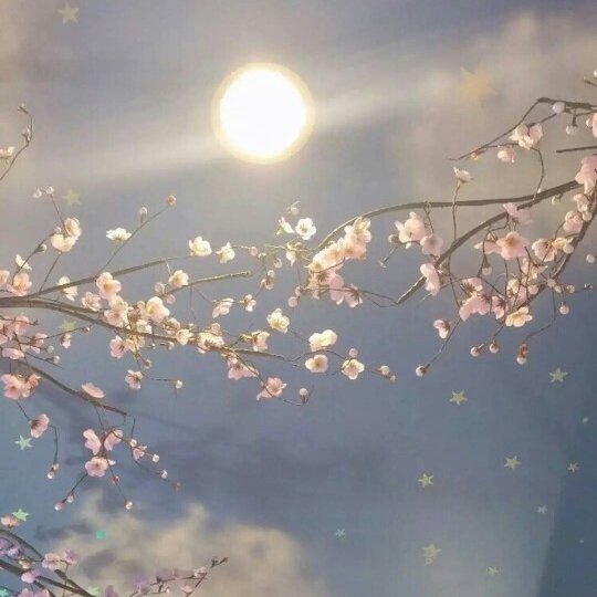 null测试黄桃摄影团队