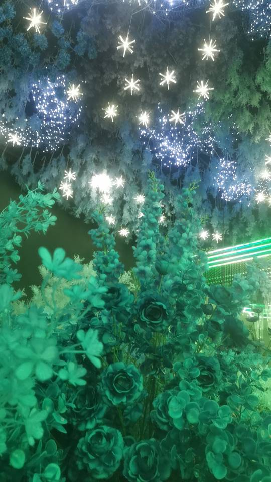 丹枫白露婚宴酒店的用户评价