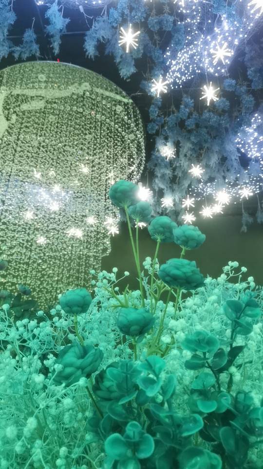 丹枫白露婚宴酒店的用户评价