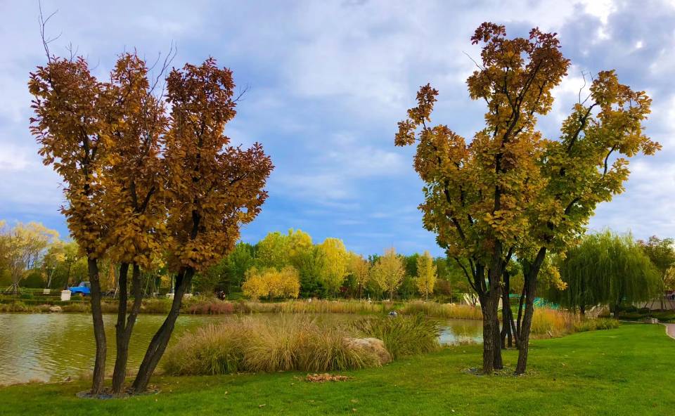 hydepark海德公园